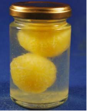 摘果みかんの新食材②