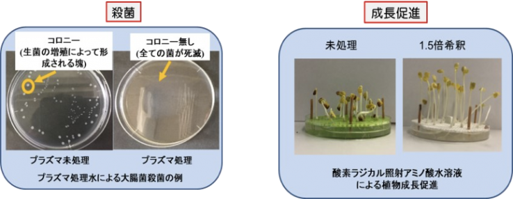 低温大気圧プラズマを用いた農学・薬学応用プロセスの開発